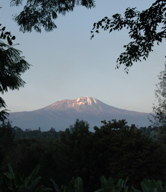 Kilimanjaro Climbing Rongai Route 7 Days