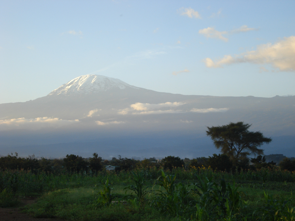 Lemosho Route 8 Day Kilimanjaro Climb, 2 Day  Hotel Stay