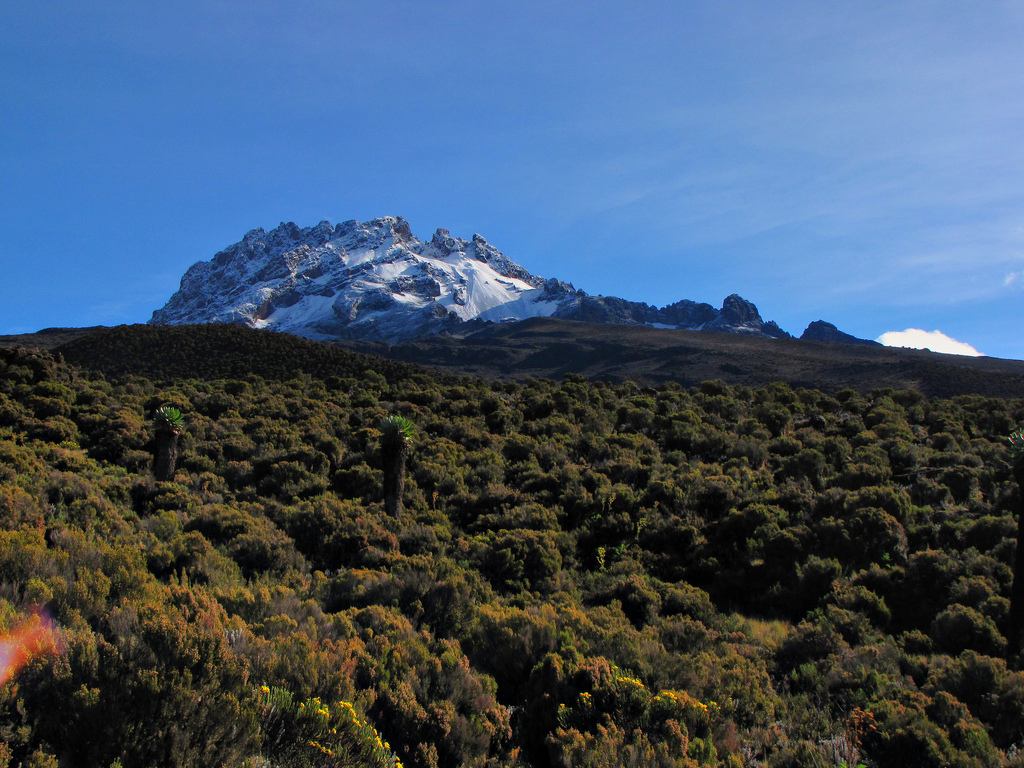 Kilimanjaro Climbing Umbwe Route 6 Days