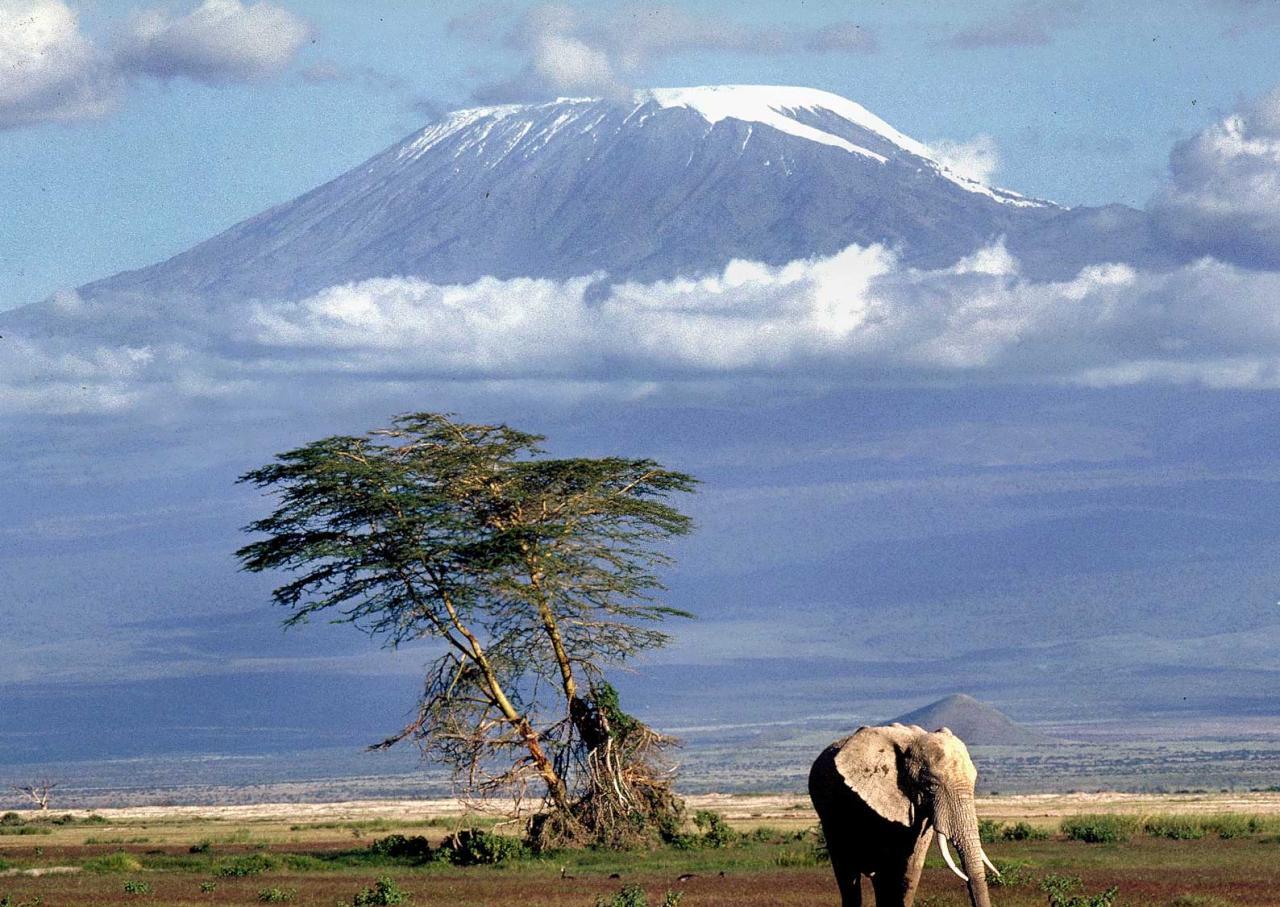 kilimanjaro Shira Route