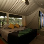 Serengeti camp