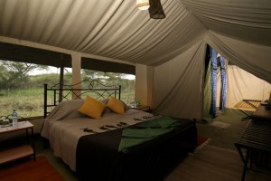 Serengeti camp