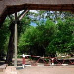 Mtemere_Gate,_Selous_Game_Reserve-1