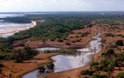 Saadani National Park