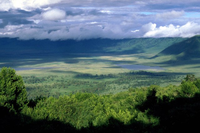 Ngorongoro Conservation Area
