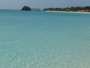 Safari in Zanzibar Beach