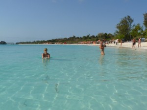 Zanzibar Safari and Beach Holiday
