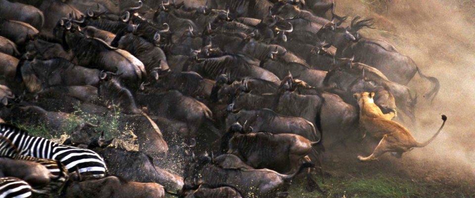 Destination Serengeti National Park