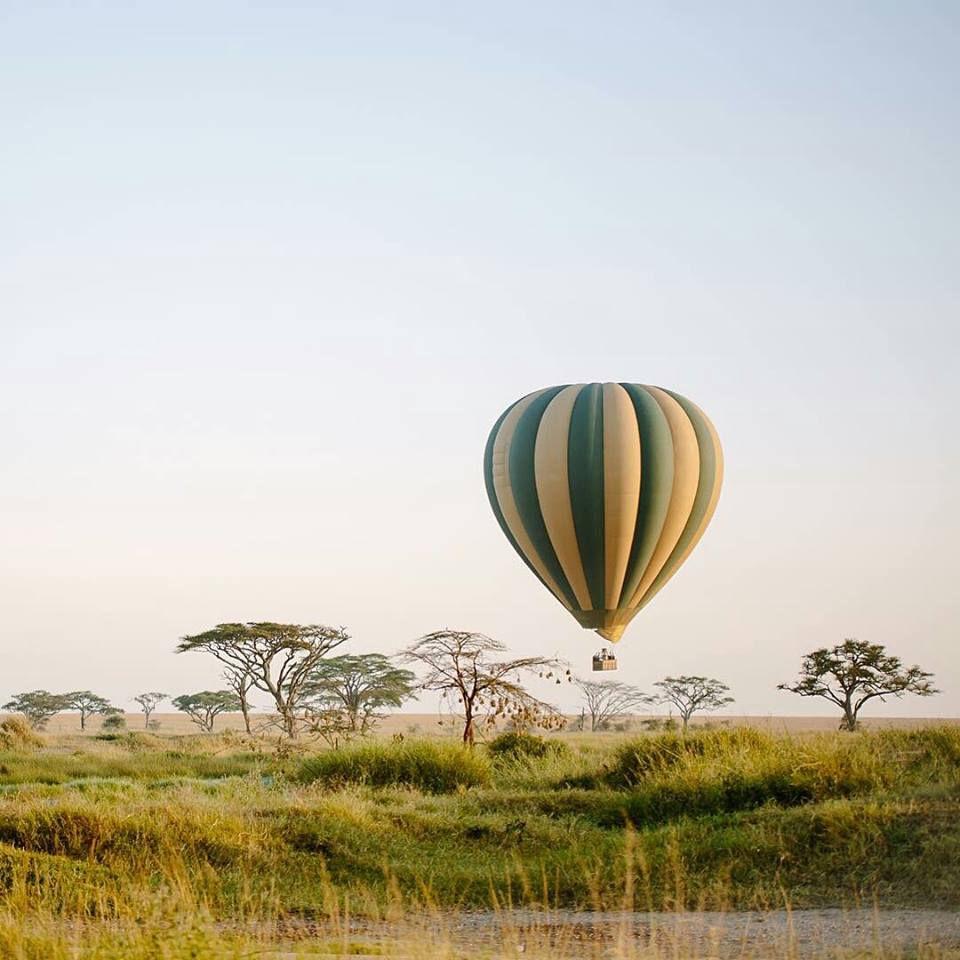 One Day Serengeti Balloon Safari