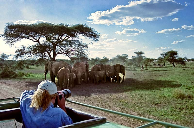 2 Day Safari Tarangire  Ngorongoro Crater