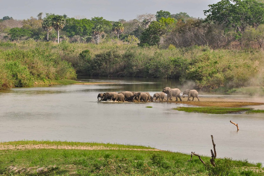 Southern Tanzania Safari 6 days