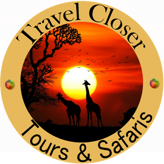 Travel Closer Tours and Safaris Web Logo